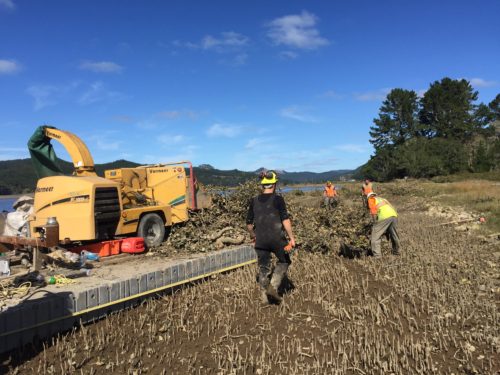 Specialist Contractors work with chain in forest