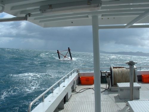 Salvage Services